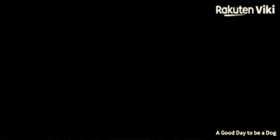 Cha Eun Woo Kdrama Couple GIF by Viki