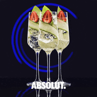 drinks cocktails GIF by Absolut Vodka