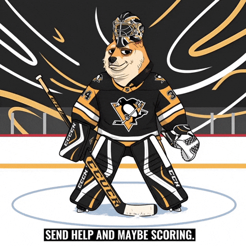 Ice Hockey Nhl GIF by Doge Pound