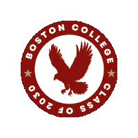 Eagles Sticker by BostonCollege