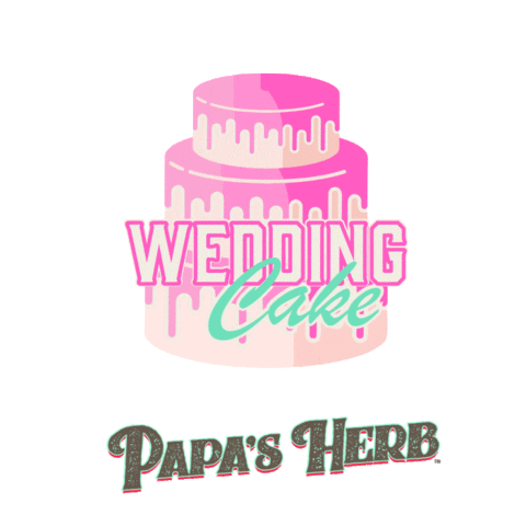 Wedding Cake Eating Sticker by Papa's Herb