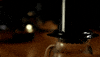 loop coffee GIF by Jerology
