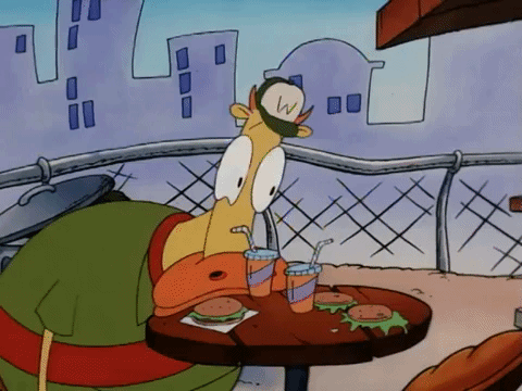 rockos modern life nicksplat GIF