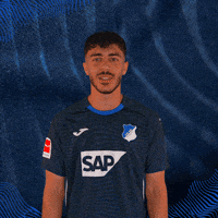 Sport Dust Off GIF by TSG Hoffenheim