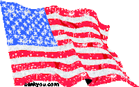 American Page Sticker