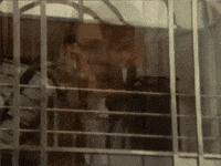 Tears For Fears GIF