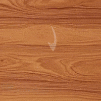 Husband GIF