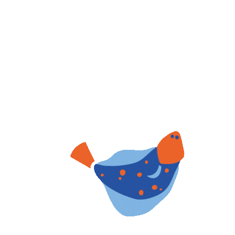 Beer Fish Sticker by Scheldebrouwerij