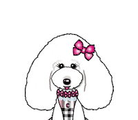 Charlotte Poodle Sticker