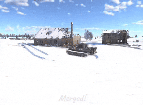 Tiger H1 GIF