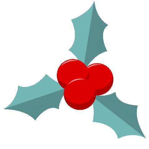 Christmas Celebration Sticker by Lenoo