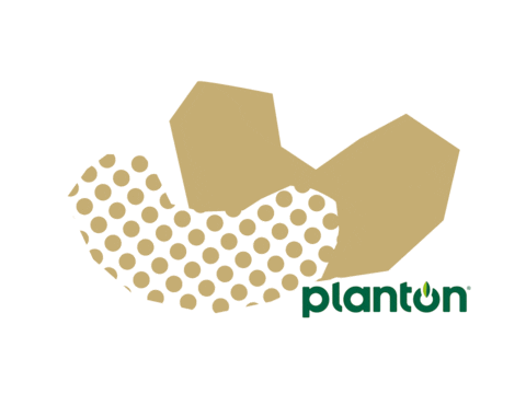 Nut Cashew Sticker by planton