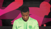 Look Up Vfl Wolfsburg GIF by Bundesliga