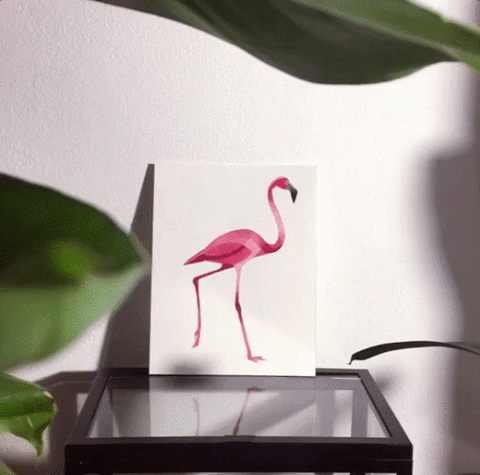 Pink Flamingo Animation GIF