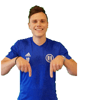svheek hsv heek svheek Sticker