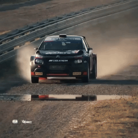 Speed Send It GIF by FIA European Rally Championship