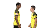 borussia dortmund laughing Sticker by Bundesliga
