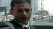 FoxTVEu  GIF