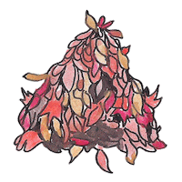Fall Leaves Sticker