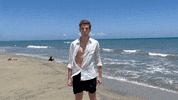 Happy Feliz GIF by Mediaset España