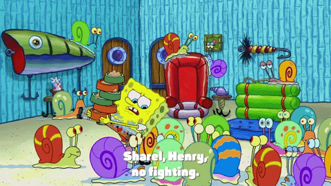 season 9 sanctuary GIF by SpongeBob SquarePants