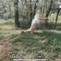 Iraq GIF