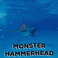 Shark Week GIF by Discovery