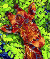Happy Fun GIF by Maryanne Chisholm - MCArtist