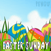 Easter Eggs Penguin GIF by Pudgy Penguins