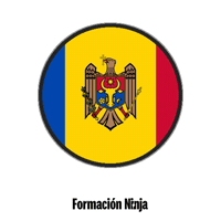 Flag Bandera GIF by Formación Ninja
