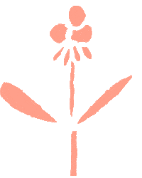Pink Women Sticker by Wundercurves