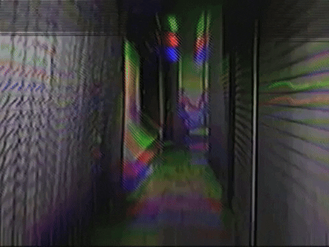 Footage Oaf GIF by jorgemariozuleta