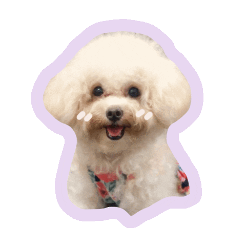 Dog Sticker