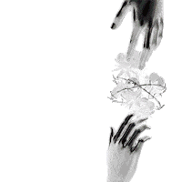 Dylan Fuentes Sticker by Tainy