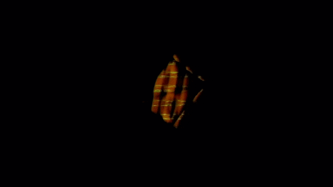 Video Art GIF by cskonopka