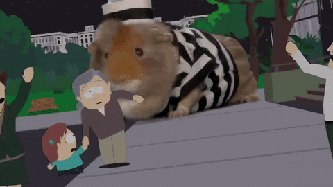 running away found footage GIF by South Park 
