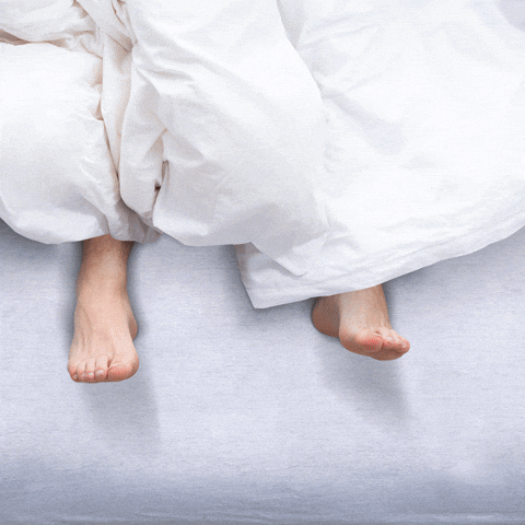 therapedicmx love couple bed stay home GIF