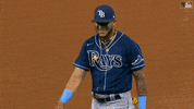 Major League Baseball Sport GIF by MLB