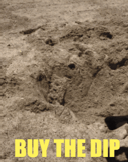 swagrman giphygifmaker dog crypto husky GIF