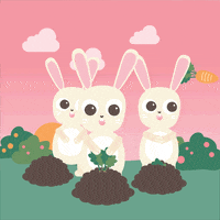 michellepastelle surprise bunny easter children GIF