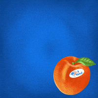 Mobilizing Senate Race GIF by Creative Courage