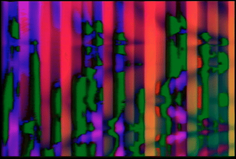 Video Art GIF by cskonopka