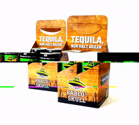 pablosskull dance party dancing mexico GIF