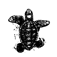30Aturtle Sticker by BAG30A