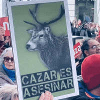 Caza Galgos GIF by Plataforma NAC