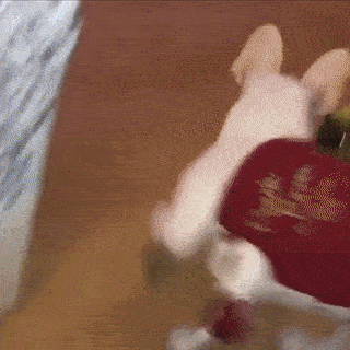 denbark giphyupload GIF