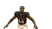 Dance Chico Sticker by Carson-Newman Athletics