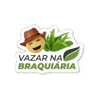 Agro Agronegocio Sticker by Agronelli Soluções