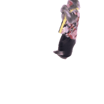 Fun Monkey Sticker