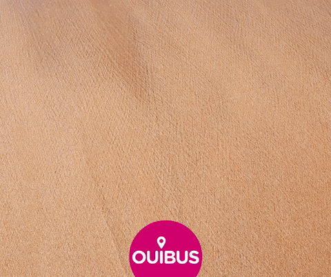 GIF by OUIBUS